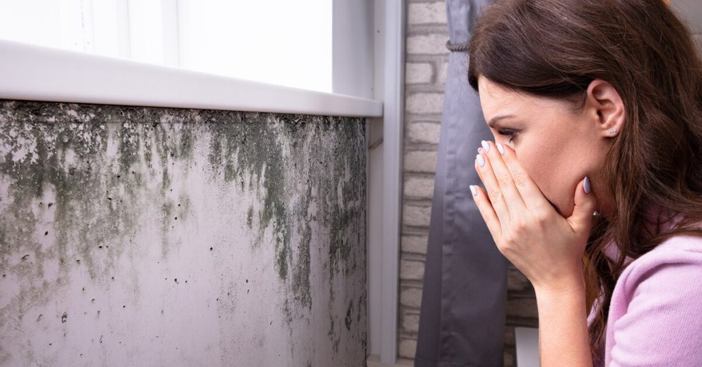 A woman wearing a pink shirt and jeans kneeling over in front of mold growth in her living room. She's covering her mouth and has a shocked look.